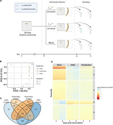 Comparative Transcriptome Analysis Reveals the Specific Activation of Defense Pathways Against Globodera pallida in Gpa2 Resistant Potato Roots